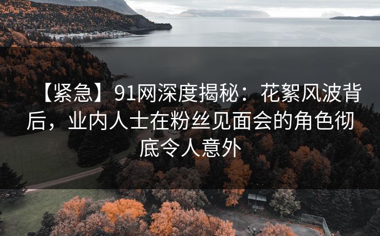 【紧急】91网深度揭秘：花絮风波背后，业内人士在粉丝见面会的角色彻底令人意外