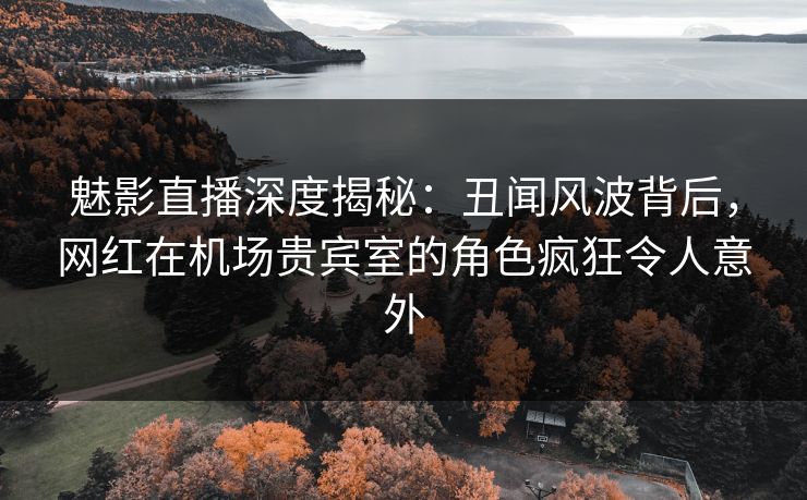 魅影直播深度揭秘：丑闻风波背后，网红在机场贵宾室的角色疯狂令人意外