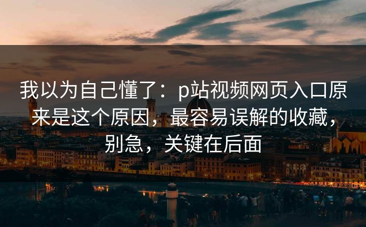 我以为自己懂了：p站视频网页入口原来是这个原因，最容易误解的收藏，别急，关键在后面