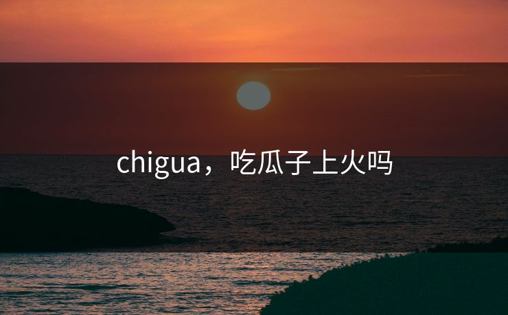 chigua，吃瓜子上火吗